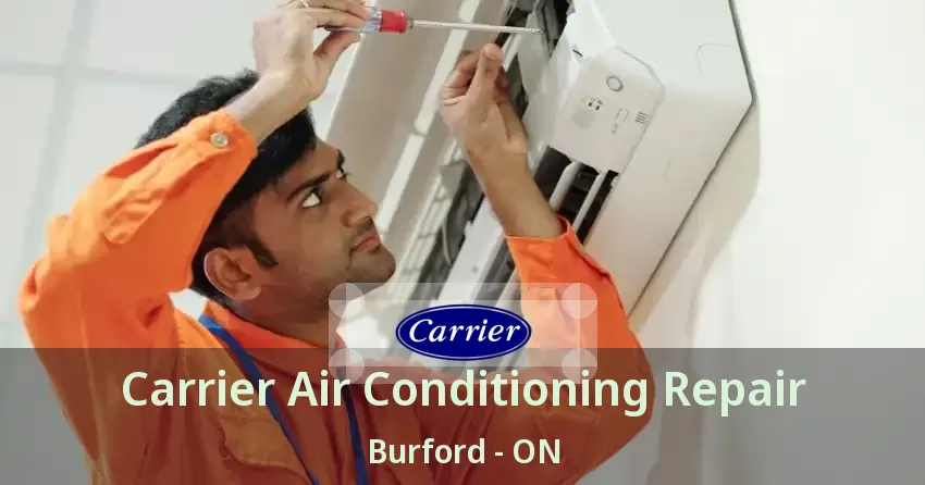 Carrier Air Conditioning Repair Burford - ON