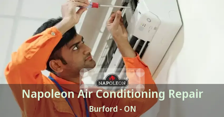 Napoleon Air Conditioning Repair Burford - ON