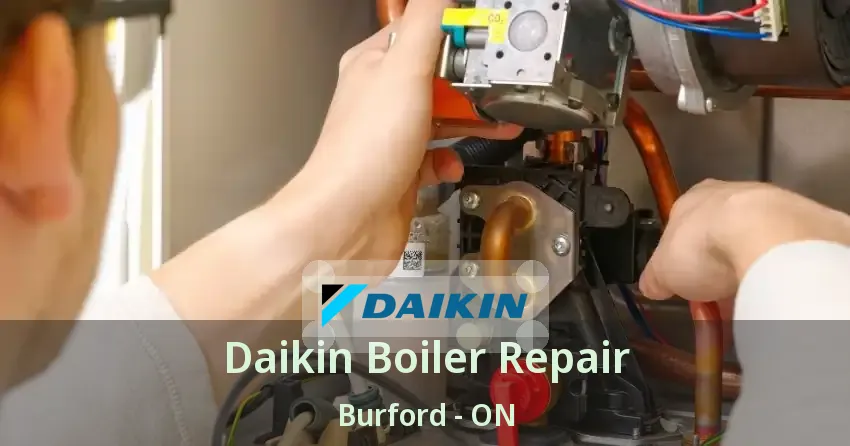 Daikin Boiler Repair Burford - ON