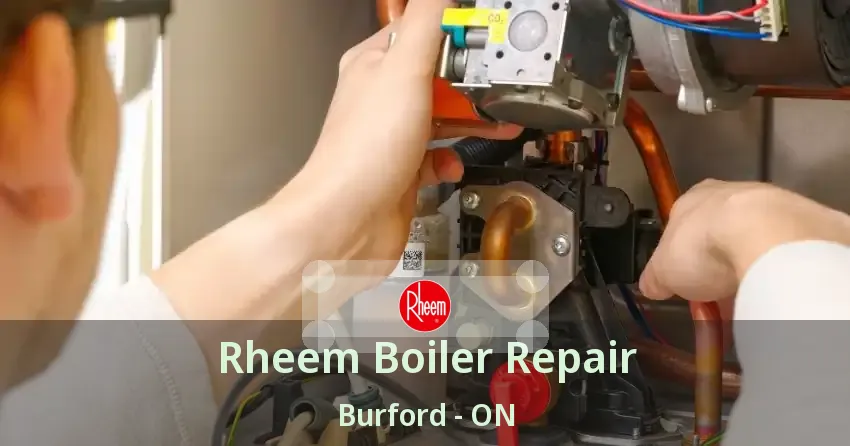Rheem Boiler Repair Burford - ON