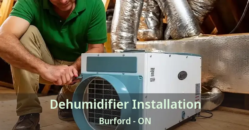 Dehumidifier Installation Burford - ON
