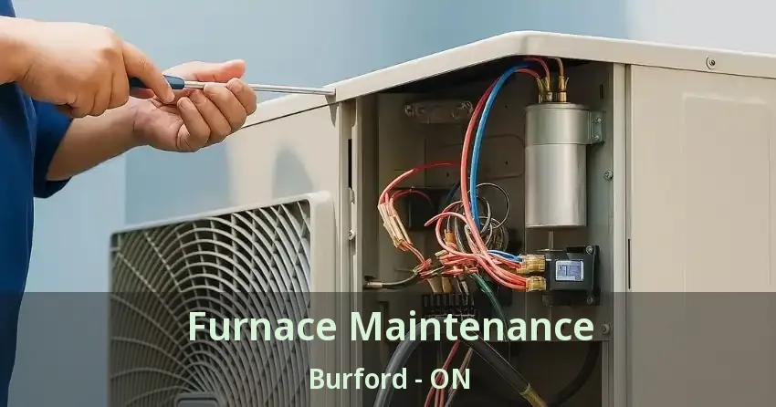 Furnace Maintenance Burford - ON