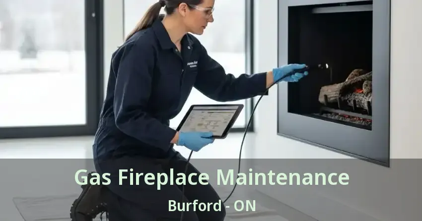 Gas Fireplace Maintenance Burford - ON