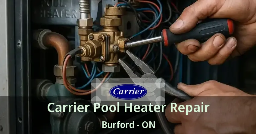 Carrier Pool Heater Repair Burford - ON