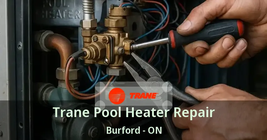 Trane Pool Heater Repair Burford - ON